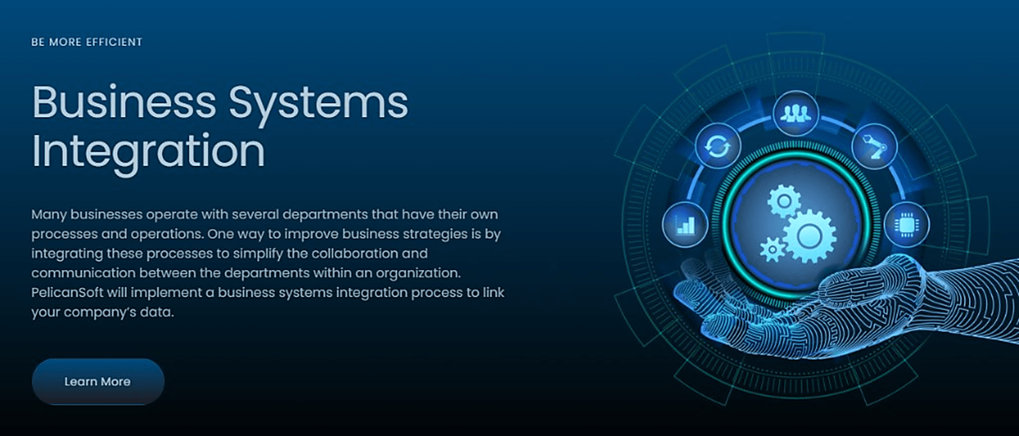 Business Systems Integration